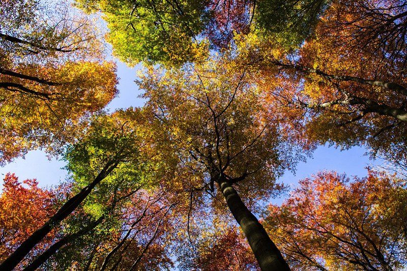 Indian summer in Germany