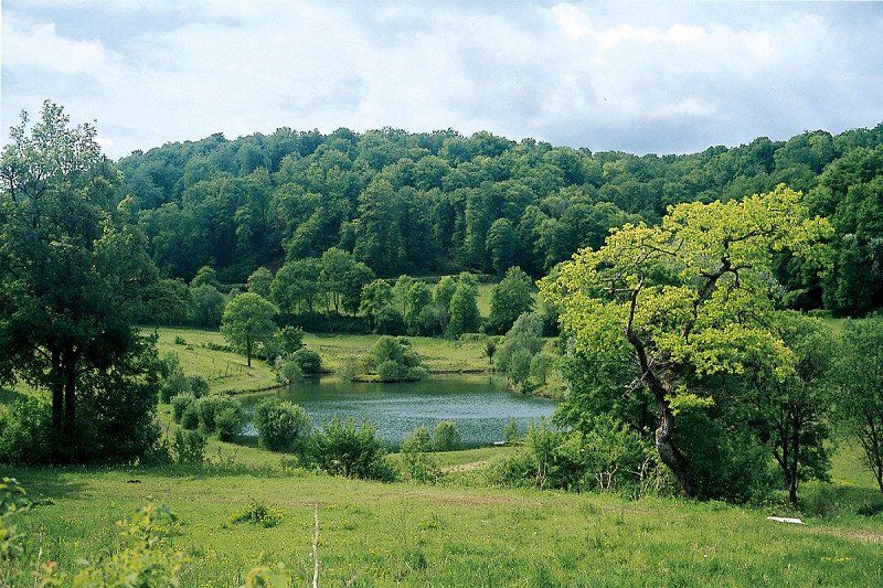 Wandertipp Frankreich: Wanderung durch den Wald von Châtillon