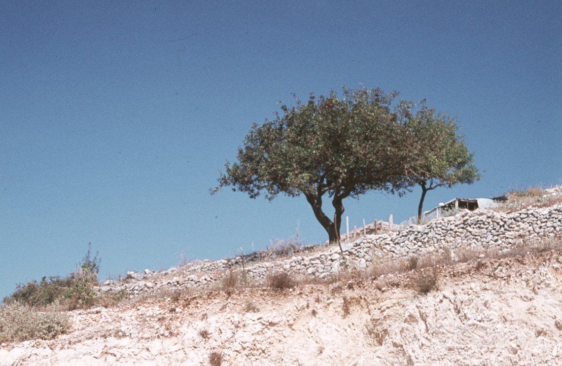 Greece 2021