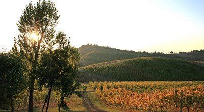 Genusstour durch die Emilia Romagna