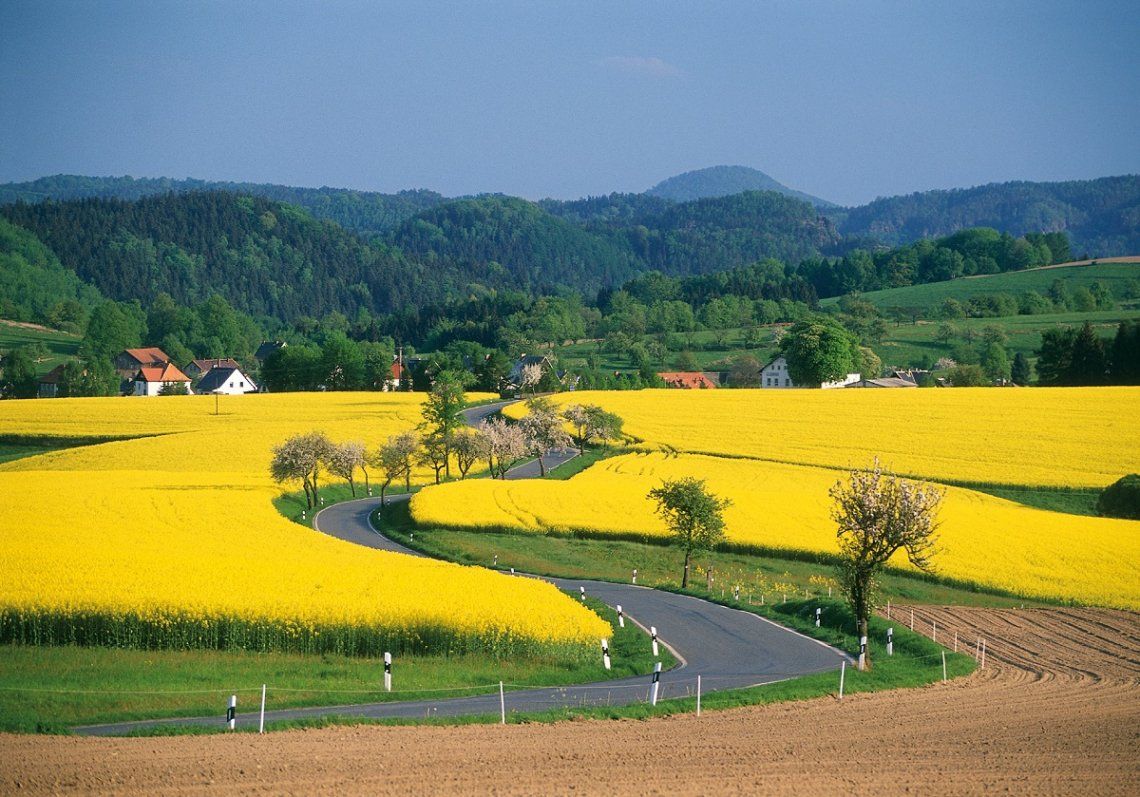 Section of the Romantic Road through rapeseed fields