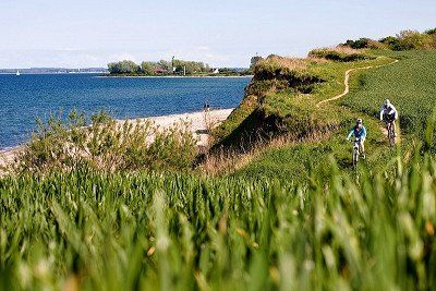 MTB Singletrail oberhalb der Ostsee