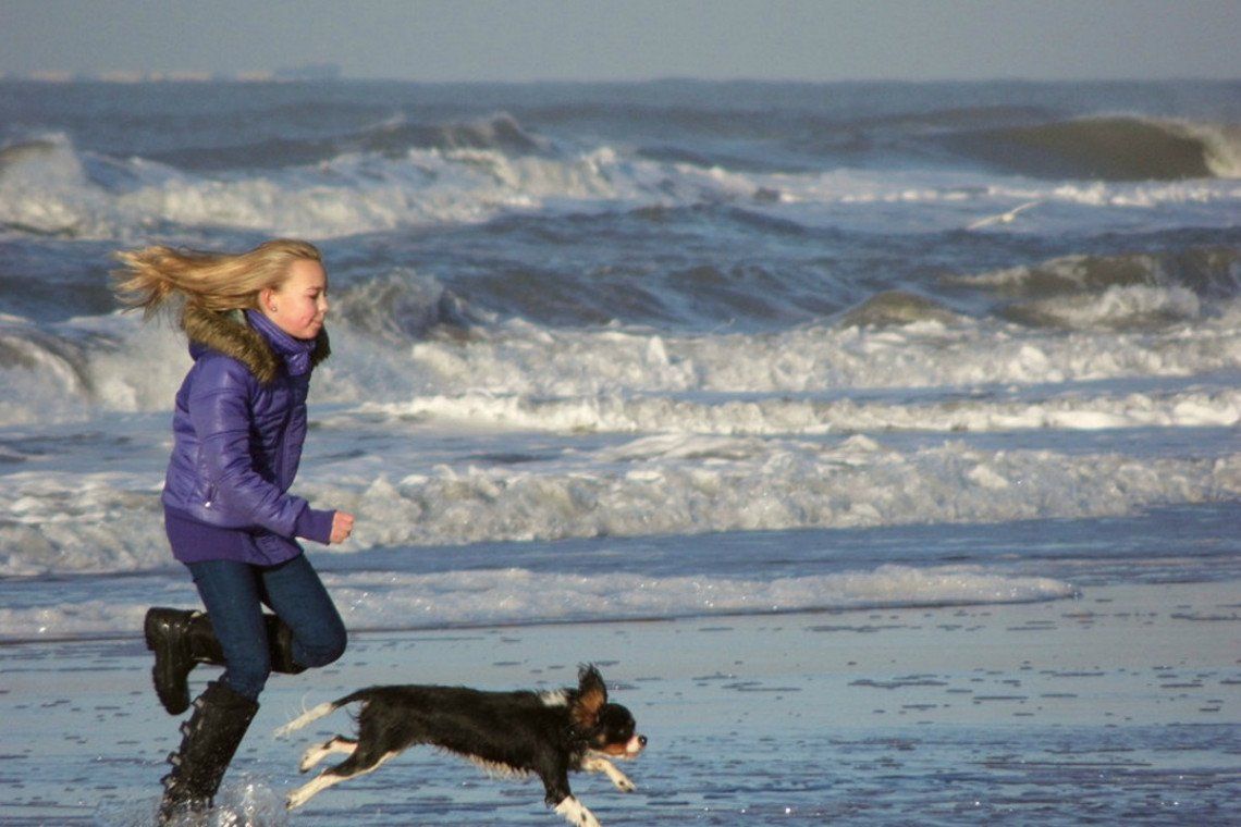 Mädchen und Hund am Strand von Zandvoort im Herbst