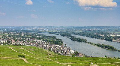 Rundwanderung durch die Weinberge bei Rüdesheim am Rhein