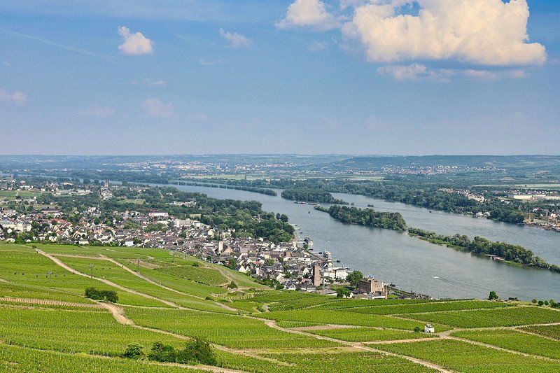 Rundwanderung durch die Weinberge bei Rüdesheim am Rhein