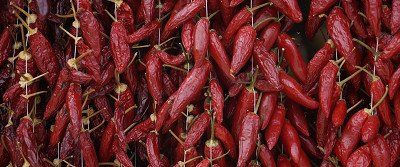 Hot peppers hung out to dry