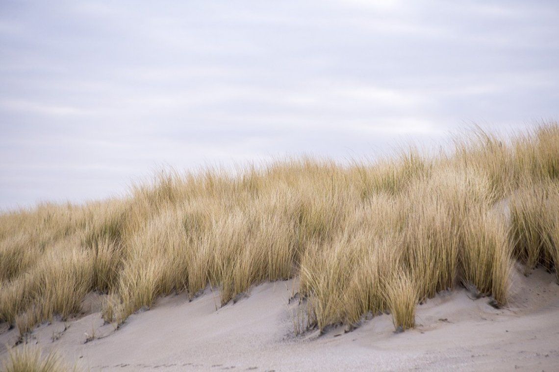 View of the dunes of Kijkduin in Holland
