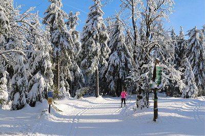 Skilangläufer im Thüringer Wald auf dem Rennsteig im Winter