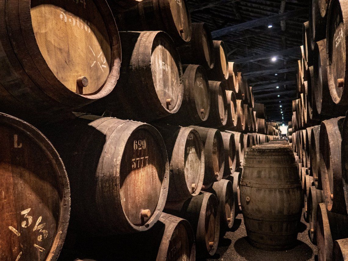Wine barrels in the wine cellar