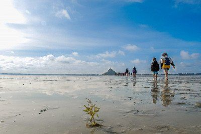 Walking across the mudflats to Mont-Saint-Michel