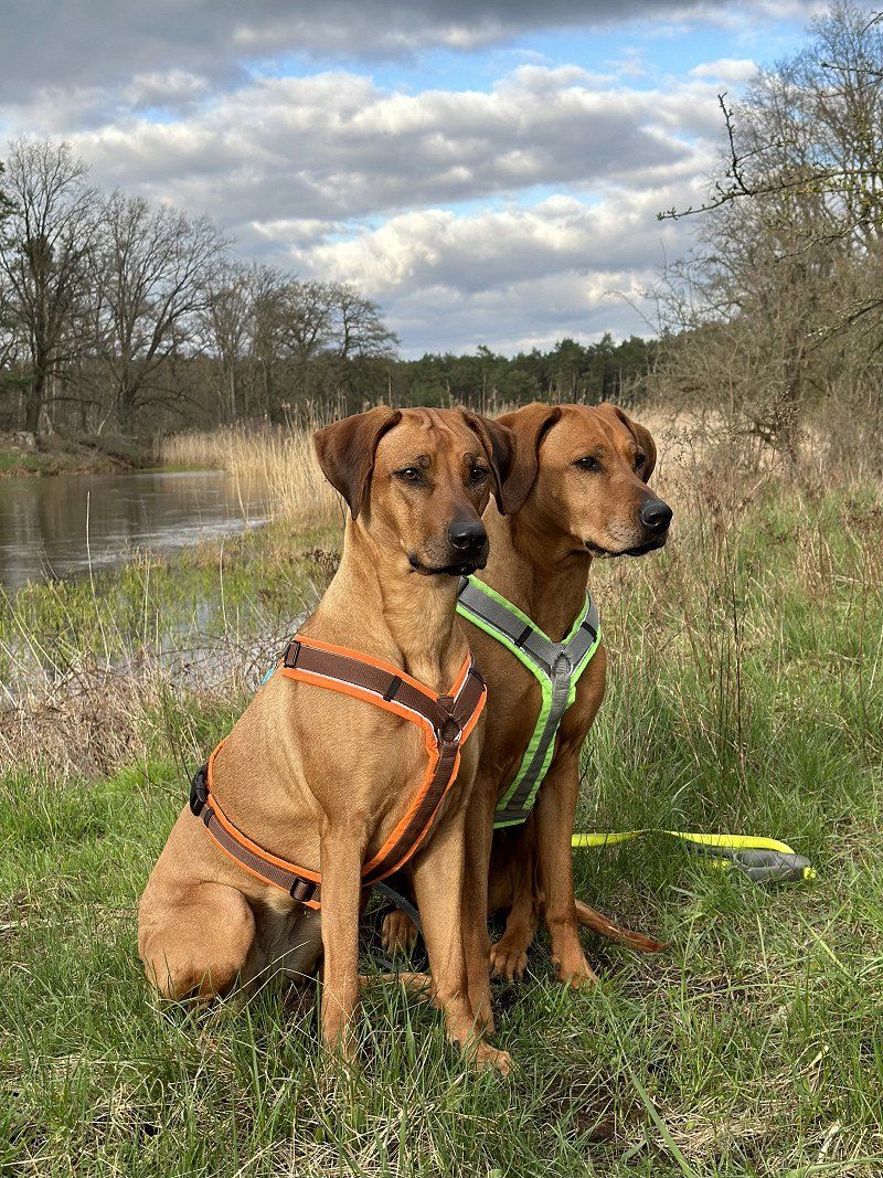 Normandie - Etreat bis Bretagne