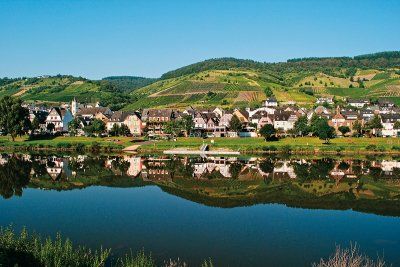 Blick über die Mosel auf den Ort Reil