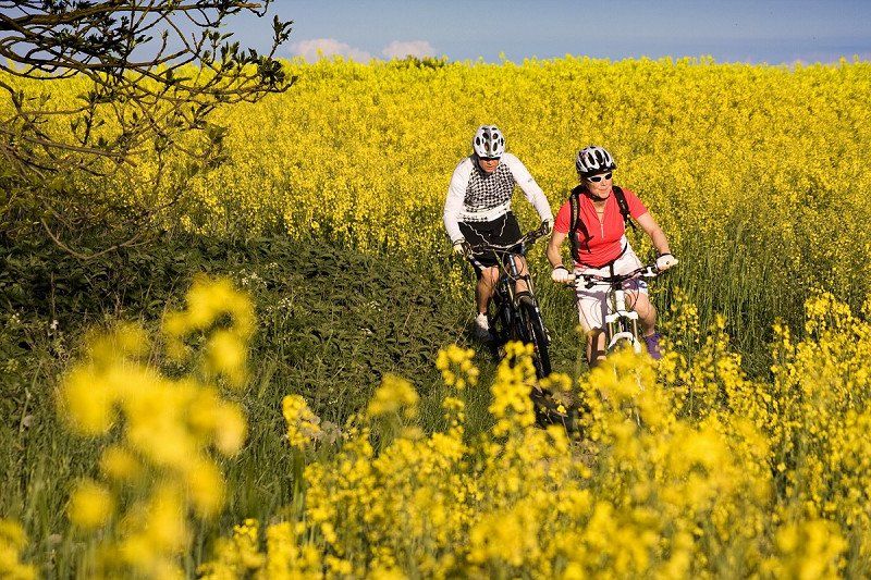 MTB-Steilküstentrail von Bülk