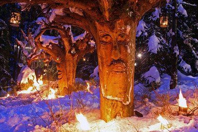 Beleuchtete Bäume bei der Schweinhütter Waldweihnacht