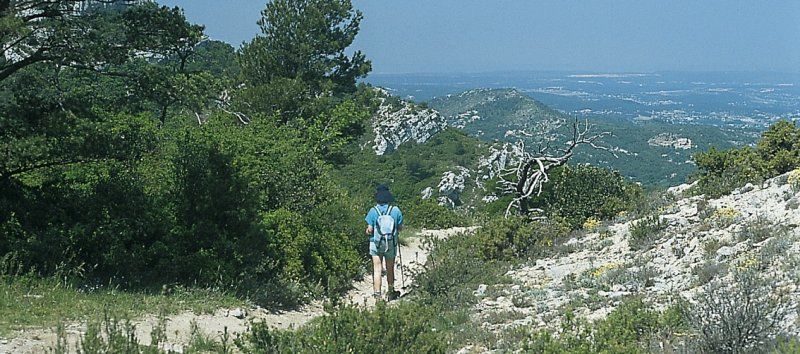 Wandertipp Provence: Leichte Rundwanderung zum Pilon du Roi
