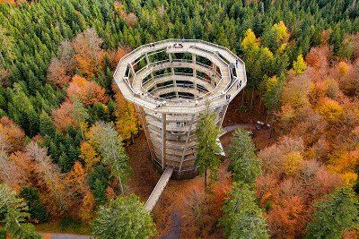 Charakteristischer Aussichtsturm beim Baumwipfelpfad Schwarzwald in Bad Wildbad 