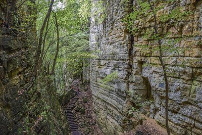 Rock face of Wolfsschlucht in the Mullerthal region