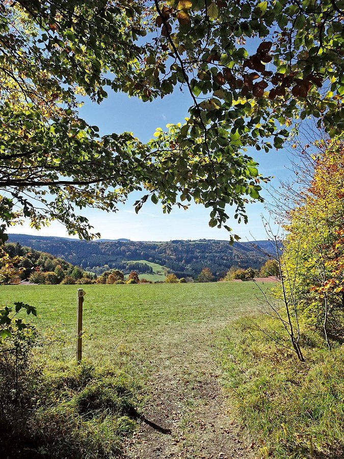 Blick aus dem Wald über die Wiesen beim Feriendorf