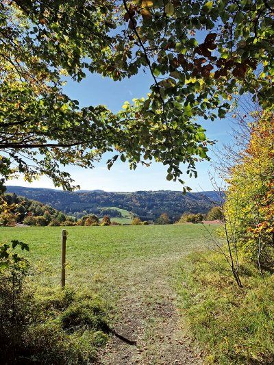 Blick aus dem Wald über die Wiesen beim Feriendorf