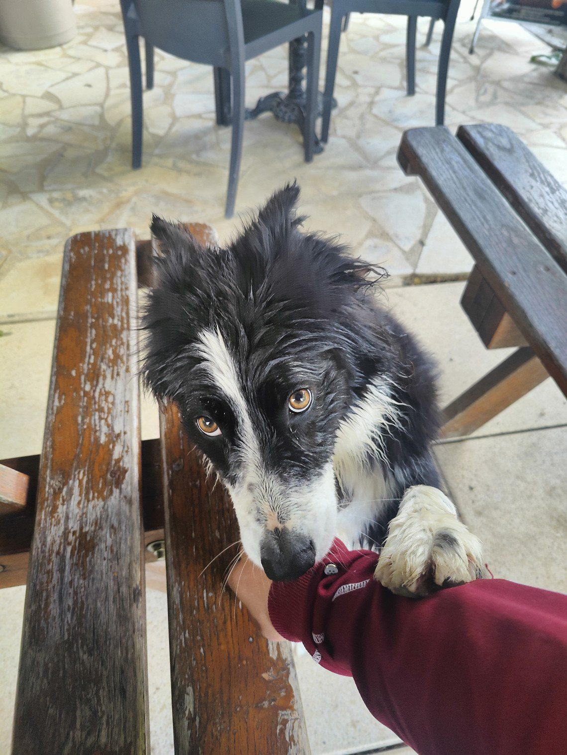 Off to Portugal (DD Portugal)