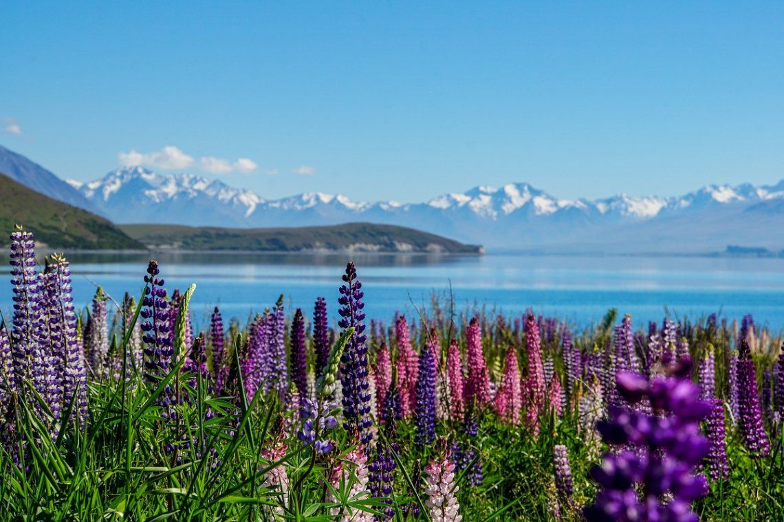 Lake Tekapu umgeben von Bergen