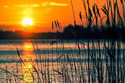 Natuurlijk paradijs aan de rivier bij zonsondergang