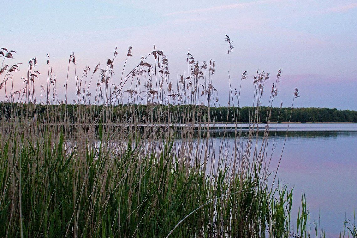 Labussee op het Mecklenburg Merenplateau bij zonsondergang