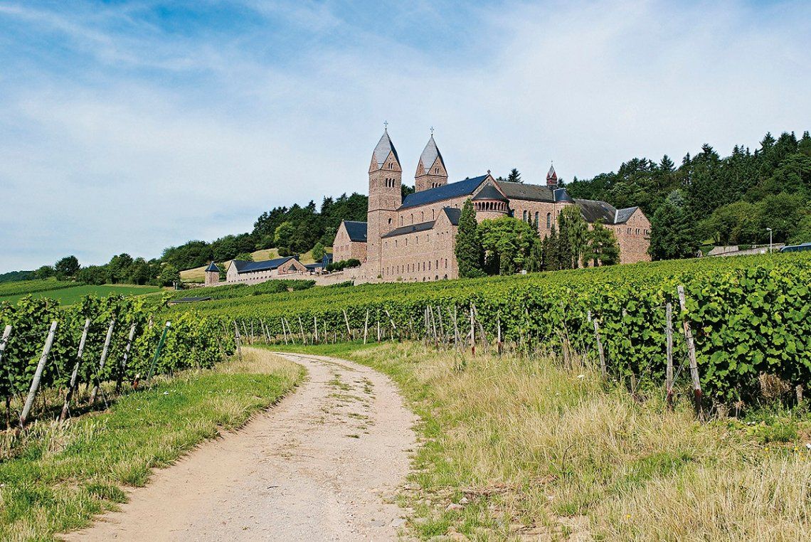 Blick aus den Weinbergen auf die Abtei St. Hildegard bei Rüdesheim