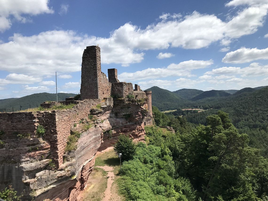 Hiking, cycling, wine and Udo
- one week Palatinate in July 22