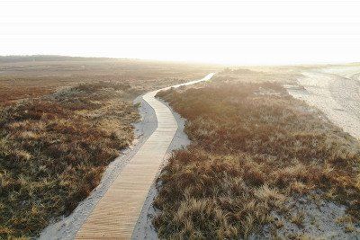 Loopdeelenweg auf dem Duenenkamm auf Borkum