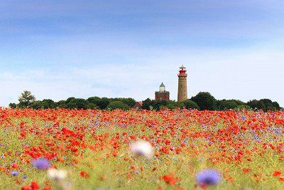 Mohnblumenfeld vor den Leuchttürmen am Kap Arkona auf Rügen  