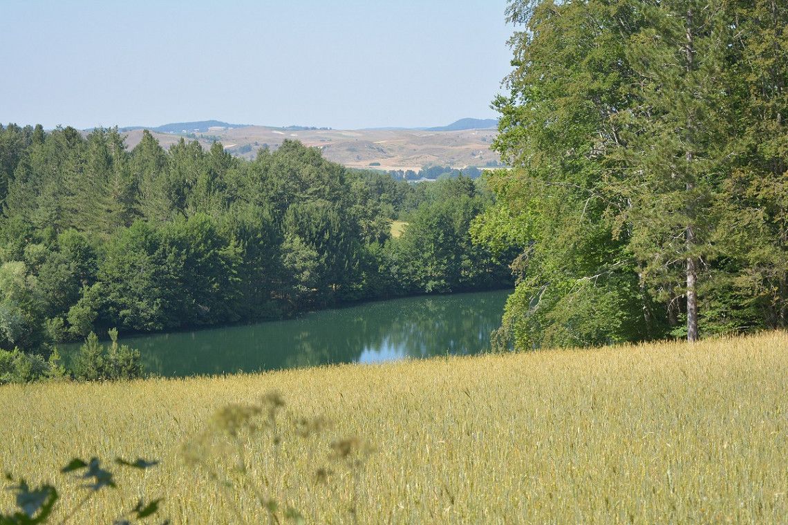 Wiesen, Baeume und See im Nationalpark Sila in Kalabrien