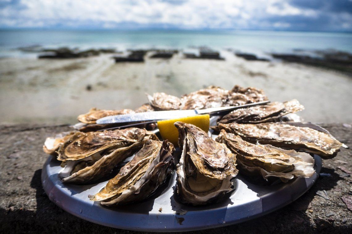 Oysters by the sea in Spain