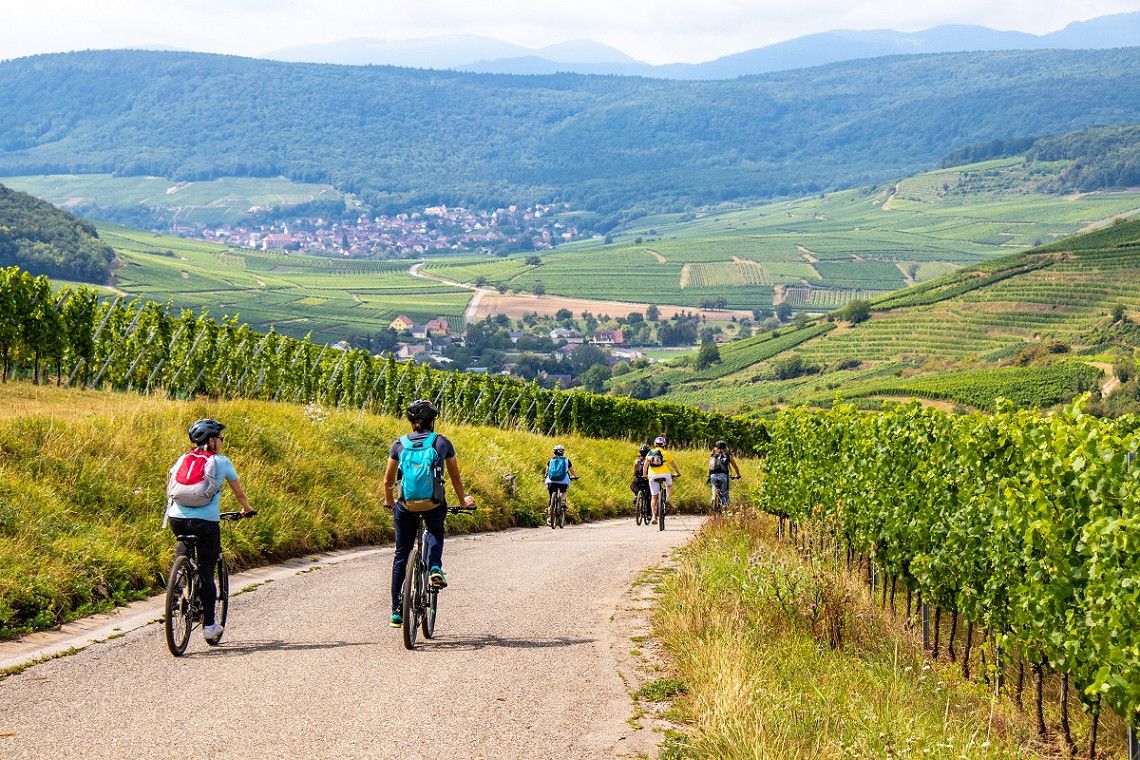 Gruppe Fahrradfahrer bei Pfaffenheim im Elsass 