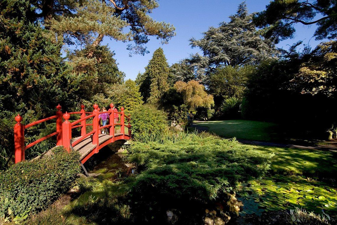 Bruecke im Japanischen Garten von The Irish National Stud