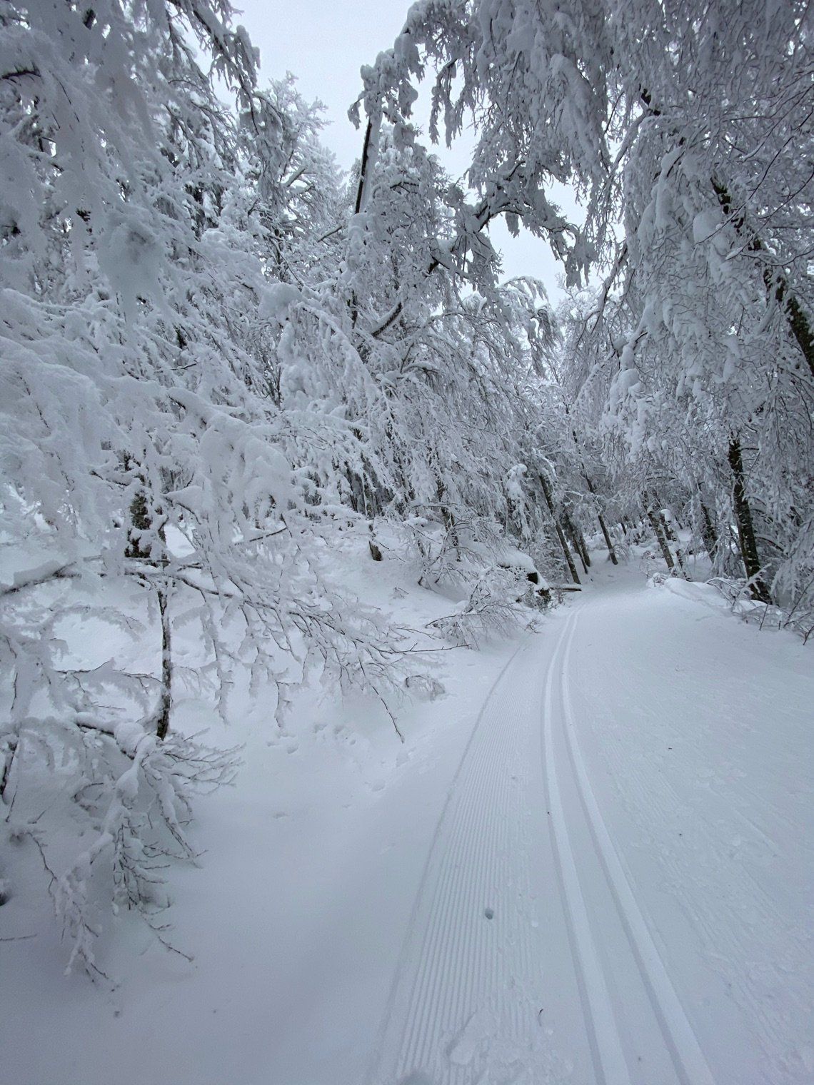 3 Tage im Schwarzwald