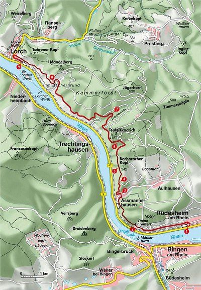 Karte Wanderung von Rüdesheim am Rhein nach Lorch