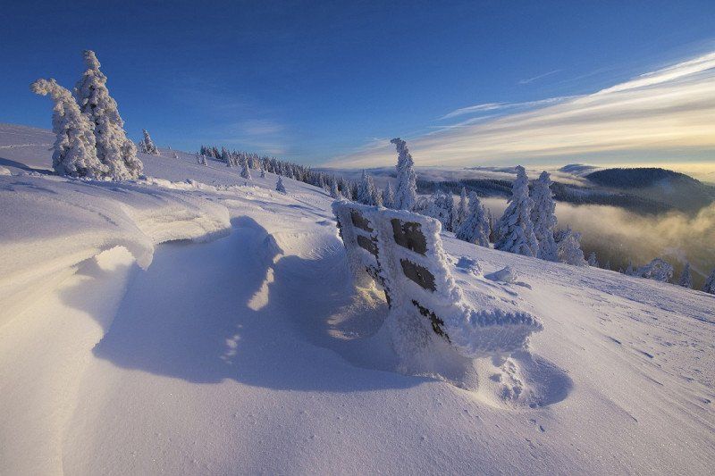 Winter hiking in the Black Forest