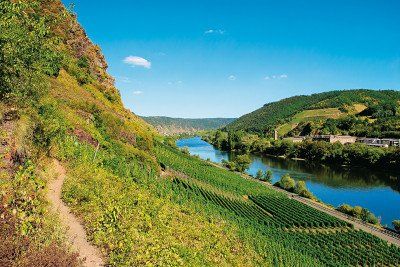 An der Brauselay zwischen Valwig und Cochem