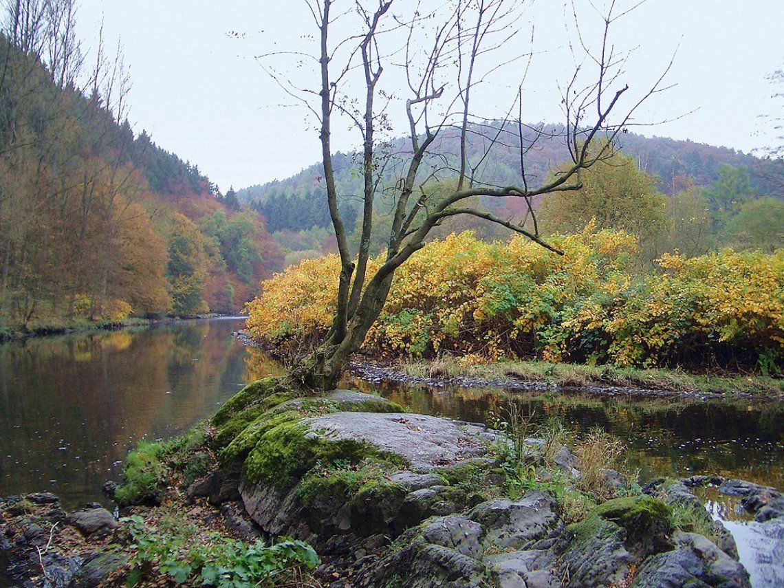 Naturidylle an der Wupper im Herbst