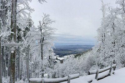 Winter auf dem Freiburger Hausberg Schauinsland 