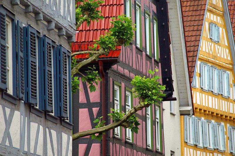 Fortsetzung - Deutsche Fachwerkstraße vom Neckar bis zum Bodensee