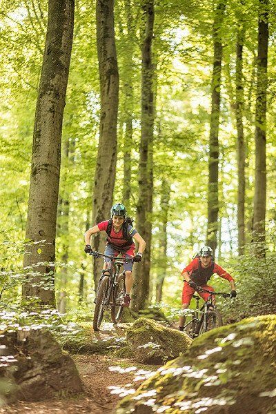 Mountainbiker auf verbocktem Singletrail bei Trippstadt 