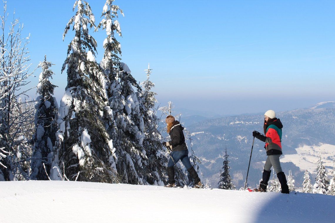 Snowshoe hiking on Brandenkopf in the Black Forest