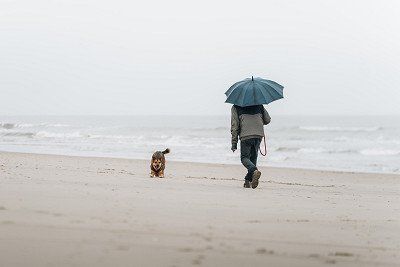 Person with umbrella and dog on the beach in the Netherlands