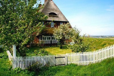 Friesenhaus in Steenodde