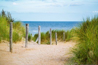 Weg durch die Duenen an die Nordsee