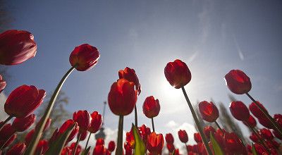 Lenterondje met de camper door Nederland