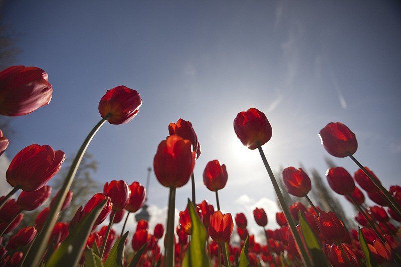 Lenterondje met de camper door Nederland
