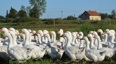 Wohnmobiltour im Norden von Polen